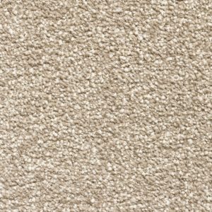 Every Room Alaska - Free Sample