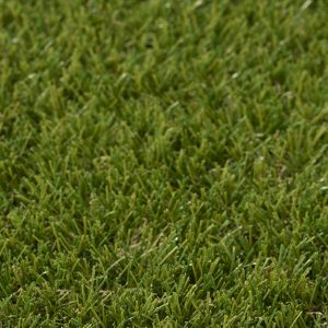 Essential Lawns Greece 30mm - Free Sample