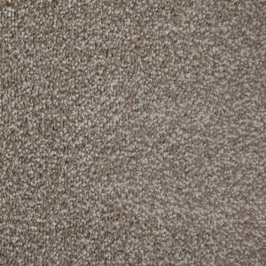 Lifestyle Floors Canterbury Plus - Free Sample