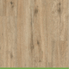 classic oak1
