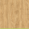 golden oak1