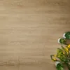 sandy oakk