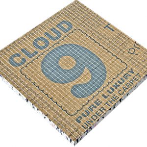 CLOUD 9 CIRRUS